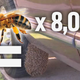 Illustration for article titled 8000 Bees Decide They Really Like Houston Womans Ram Truck